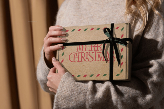 Brievenbusdozen met bovenklep | Enveloppenland.nl